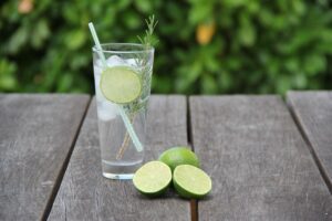 Dansk gin